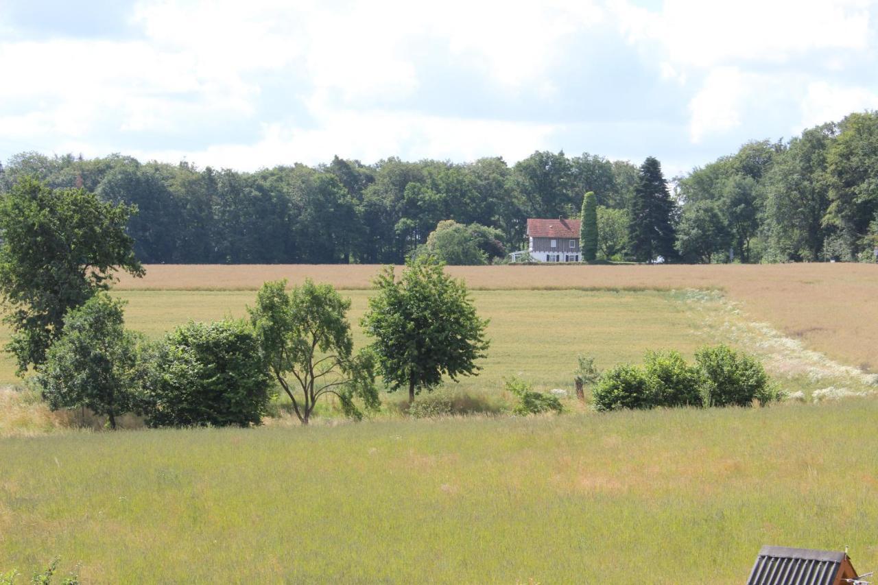 Ferienwohnung Landsburgblick Neuental 外观 照片